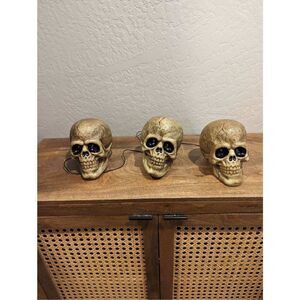 2010 Magic Power Co Set of 3 Skull Molds Works Lights Sound